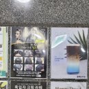 포레 1773 이미지