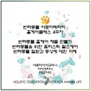 더힐테라피센터 이미지