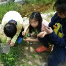 부명초등학교 이미지