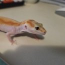 해솔동물병원 이미지