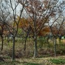 여주-0059 이미지