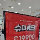 풀햄키즈