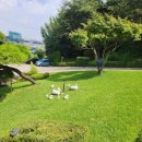 UR(오산시)-[독산성로]-상-16 | 오산 예찬식당 돌잔치 우드트리 출장 돌상으로~