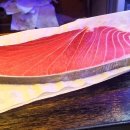 참별난참치 이미지