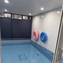 경주경북약국 | 경북)경주 키즈풀빌라 추천 돌전 아기랑 가족모임 펜션 후기