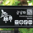 가연디자인 이미지