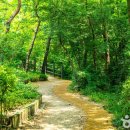 수성동 근린공원 이미지