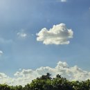 양림전통맛집 이미지