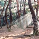경애네 이미지