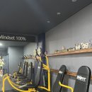 영양플러스점핑다이어트