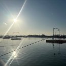 천혜바다낚시터 | 영종도 천혜바다낚시터 2026년 개장 방갈로 조황후기