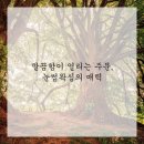 안녕왁싱