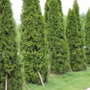 파주캠핑장 이미지