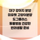 도그플러스 동물병원 | 대구 강아지 분양 미유펫 고양이분양 도그플러스 동물병원 건강한 반려생활 준비