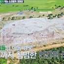 쓰레기 산의 코끼리들은 무엇을 먹나 이미지