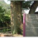 김삿갓면-43 이미지
