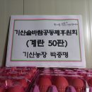 박종명 농장 이미지