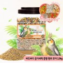 버디 - 유성구 온천서로 30 | 버디