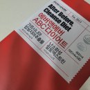 에버바이오 | 에버앤에버 ABC다이어트 솔직 후기