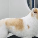 딥잉 산본점 이미지