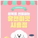 중앙동12 | [광교중앙동 먼치킨 분양 후기] 드디어 제 인생 고양이를 만났어요!