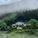 정선 자연속으로 펜션 이미지