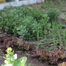 바우네 민박 이미지