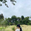 플로리스트(목) | 플로리스트가 추천하는 정원카페 _ 첫번째 | 베케제주 제주정원카페 베케정원