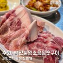 수원 뒷고기 맛집 행궁동 백만불왕소금참숯구이