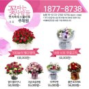 은혜플라워 이미지