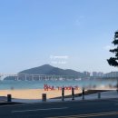스타벅스광안리점 이미지