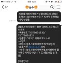 레베카 윤 이미지