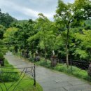 샬롬메디 이미지