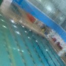 씨엘키즈 어린이수영장 이미지