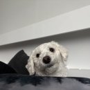 아이조아 요양보호소 서울점 이미지