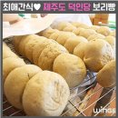 제주 신촌 덕인당 보리빵 솔직 후기 | 제주도 보리빵 맛집 추천