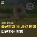 세원정육점 | 2024년 2월 -1