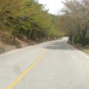 달서보건진료소 티스토리