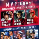 AL&NL MVP CY 감독상 신인왕 후보 이미지