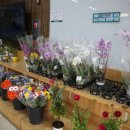 로컬푸드 사거리 이미지