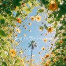 * ＜리더십＞ 호의를 이용하는 사람, 그냥 사랑하는 사람 - 조태성 이미지