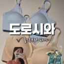 브라보헬스 | 여름 헬스 PT 스포츠브라 도로시와 쿨샷브라 심리스 착용 후 타 브랜드 속옷 비교 후기 내돈내산