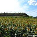연천호로고루 이미지