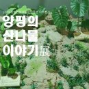 양평친환경농업박물관 이미지