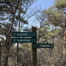 (주)도하건설 - 영천시 원제1길 10 | 관악산 세 번 오르기 챌린지 첫 번째 이야기 (1/3)