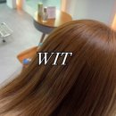 위트헤어(WIT)