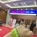 강아지세상 고양이세상 | 강아지, 고양이 반려인들 모이세요! 메가주 일산 킨텍스 케이펫페어(K-PETFAIR)후기 꿀팁