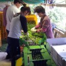 청암농장 이미지