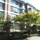 야탑로231번길 이미지