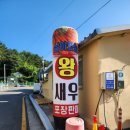 왕새우판매점 네이버블로그